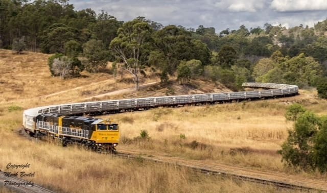 Cattle Trains Return to Clermont Rail Hub, Offering Renewed Transport Options