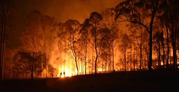 Finally, an El Nio has been declared by the BoM. What does this mean?