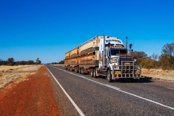 MLA launches online hub for livestock transportation information.