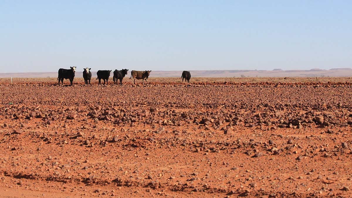 New Drought Plan Provides Clear Framework for Support